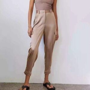 Aritzia Babaton Refined Satin Cargo Pant in Deep Taupe, size 0